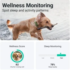 Tractive GPS Localizador XL para perros Outlet