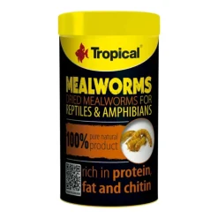 Tropical Meal Worms alimento para reptiles Online