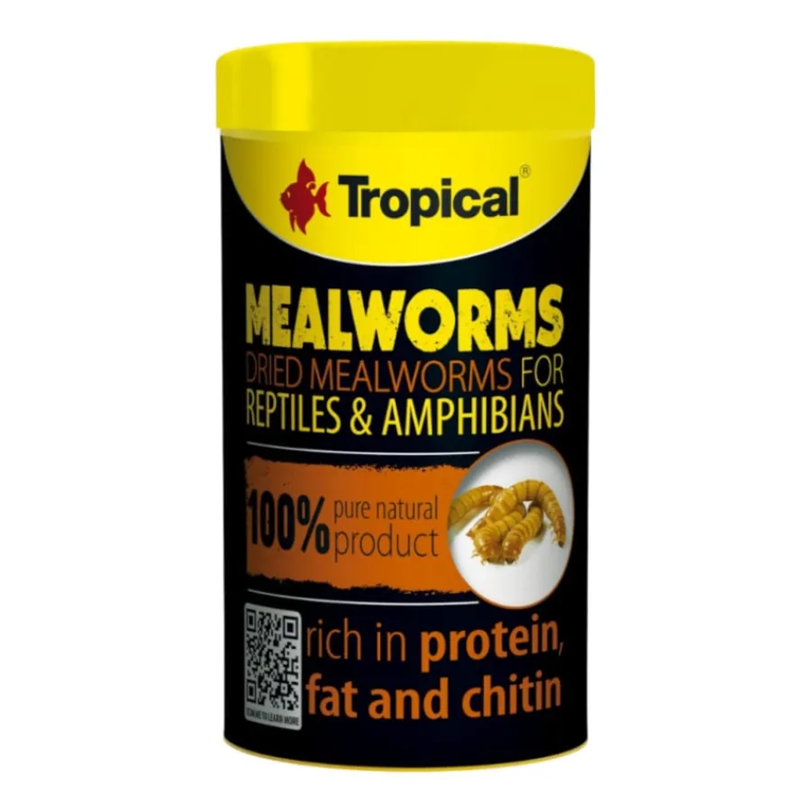 Tropical Meal Worms alimento para reptiles Online
