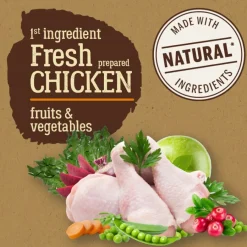 True Origins Pure Adult Maxi Pollo pienso para perros Outlet