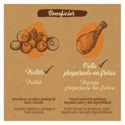 True Origins Pure Adult Pollo pienso para gatos Best