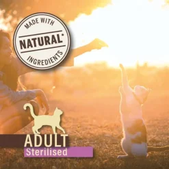 True Origins Pure Adult Sterilised Grain Free Pavo pienso para gatos Best