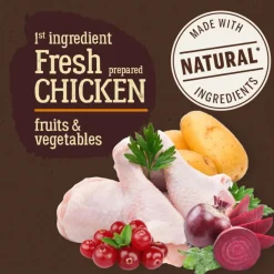 True Origins Pure Adult Sterilised Pollo pienso para gatos Hot