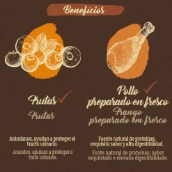 True Origins Pure Adult Sterilised Pollo pienso para gatos Hot