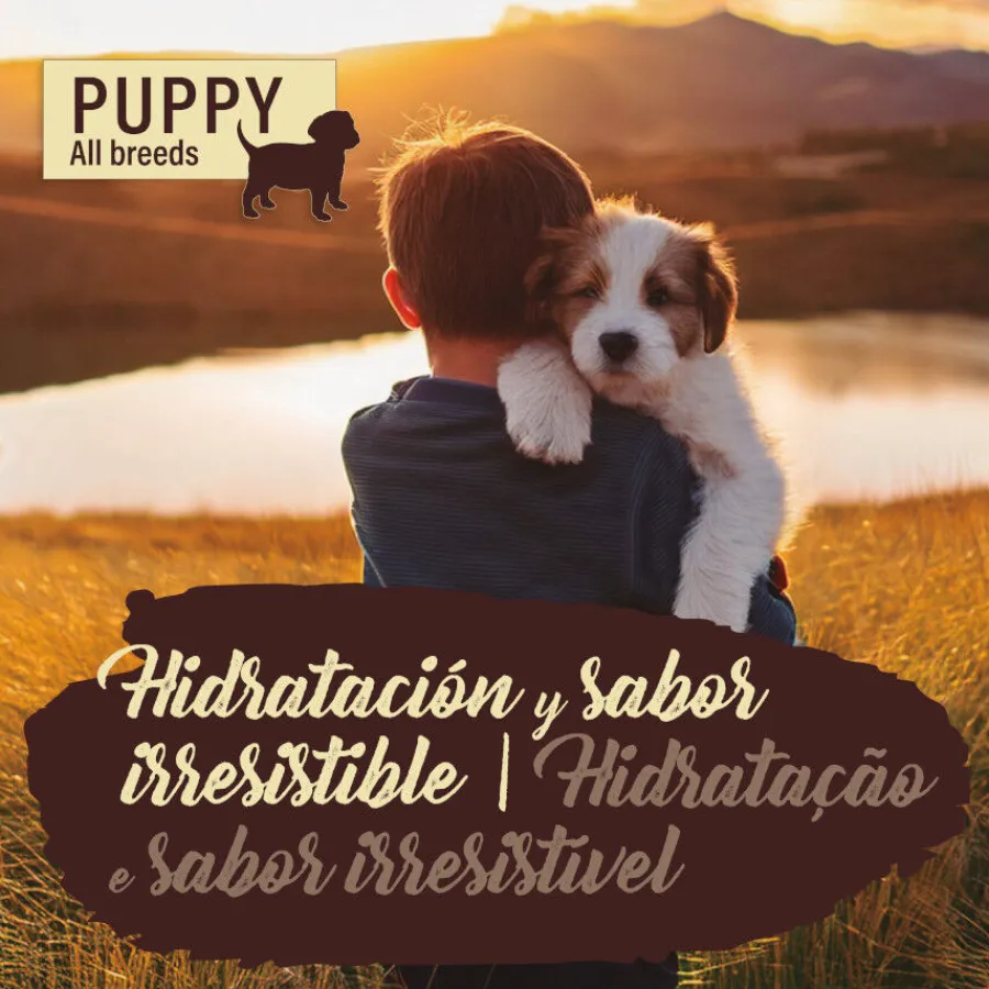 True Origins Pure con Salmón lata para cachorros Sale