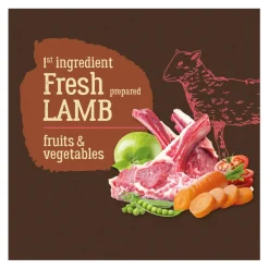 True Origins Pure Grain Free Adult Cordero pienso para perros Best