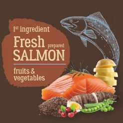 True Origins Pure Kitten No Grain Free Salmón pienso para gatitos Sale