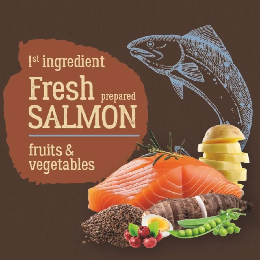 True Origins Pure Kitten No Grain Free Salmón pienso para gatitos Sale