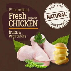 True Origins Pure Mini Adult Pollo pienso para perros Online