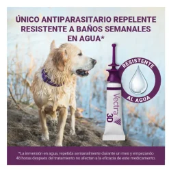 Vectra 3D Pipetas Antiparasitarias para perros Outlet