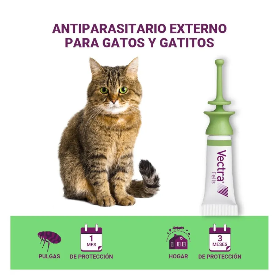 Vectra Felis Pipetas Antiparasitarias para gatos New