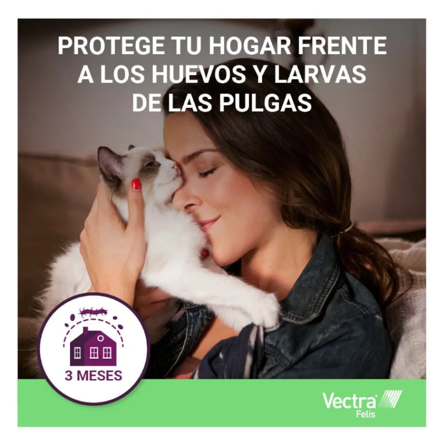 Vectra Felis Pipetas Antiparasitarias para gatos New