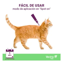 Vectra Felis Pipetas Antiparasitarias para gatos New