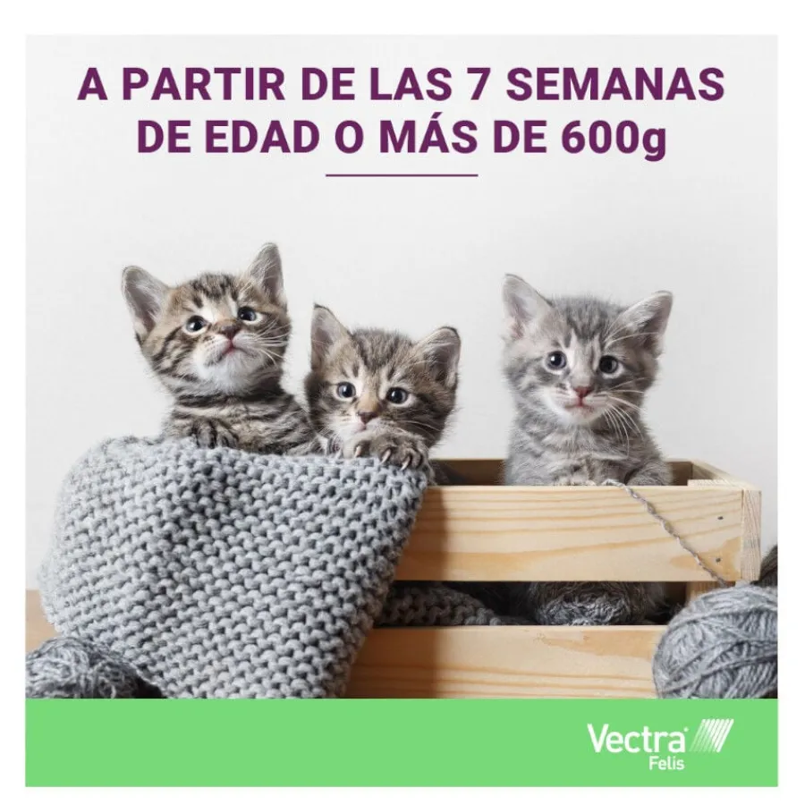 Vectra Felis Pipetas Antiparasitarias para gatos New