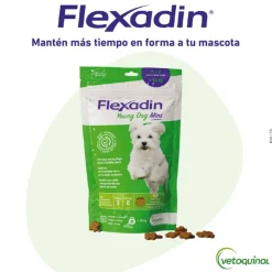 Vetoquinol Flexadin Young Mini Condroprotector para perros Online