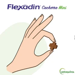 Vetoquinol Flexadin Young Mini Condroprotector para perros Online