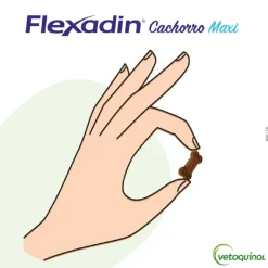 Vetoquinol Flexadin Young Maxi Condroprotector para cachorros Discount