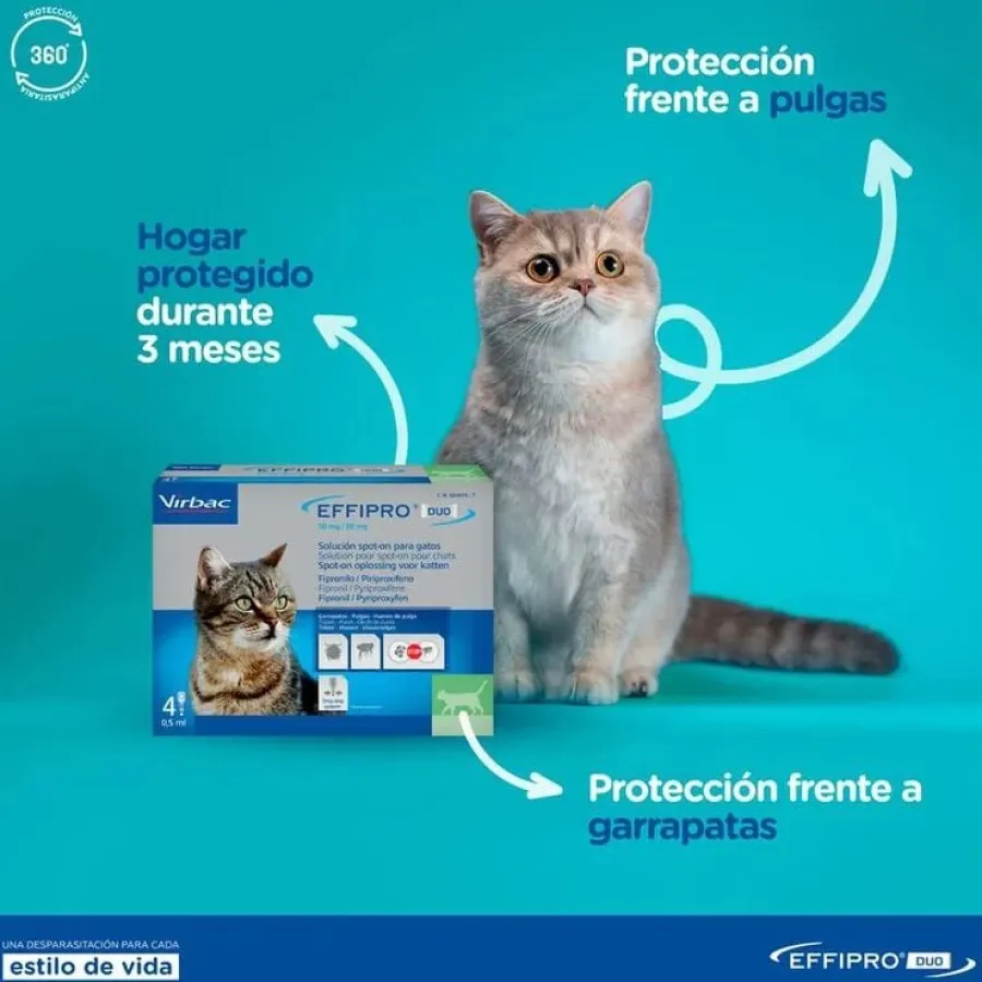Virbac Effipro Duo Pipetas Antiparasitarias para gatos New