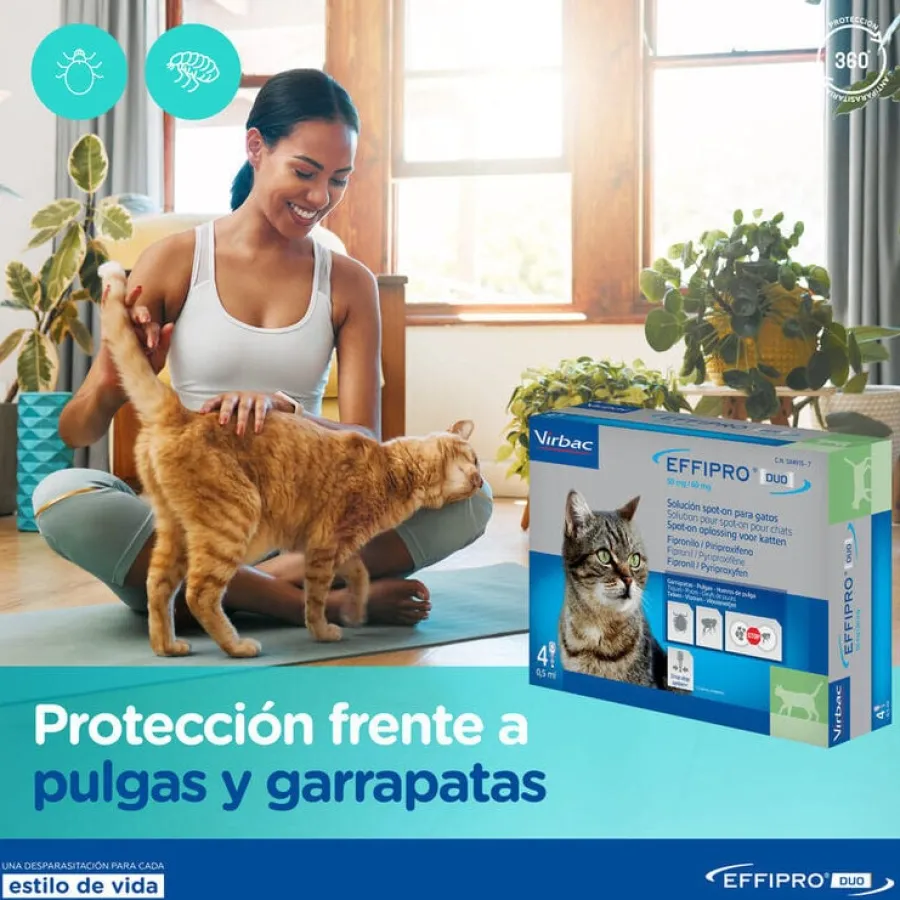 Virbac Effipro Duo Pipetas Antiparasitarias para gatos New