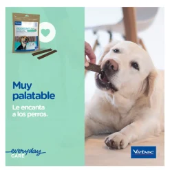 Virbac Láminas Veggiedent Zen S para perros New