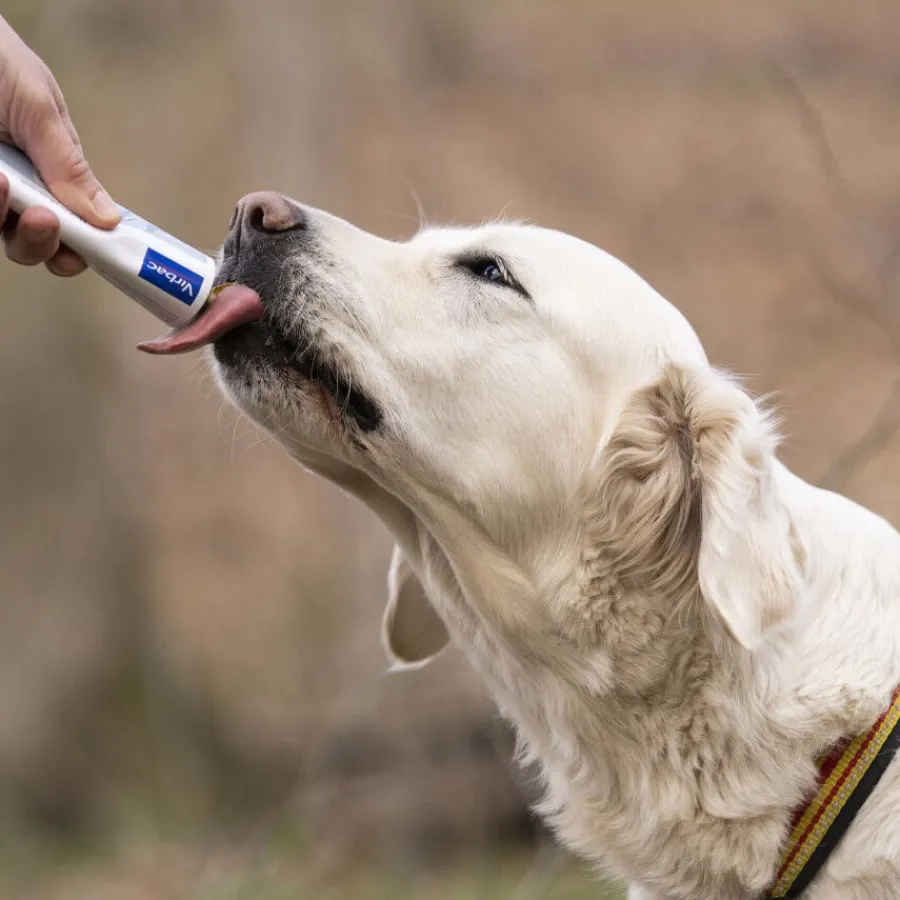 Virbac Nutri-plus gel Suplemento para perros y gatos Clearance