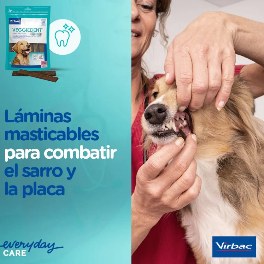 Virbac Snacks Dentales Veggiedent Fresh para perros de raza mediana Clearance