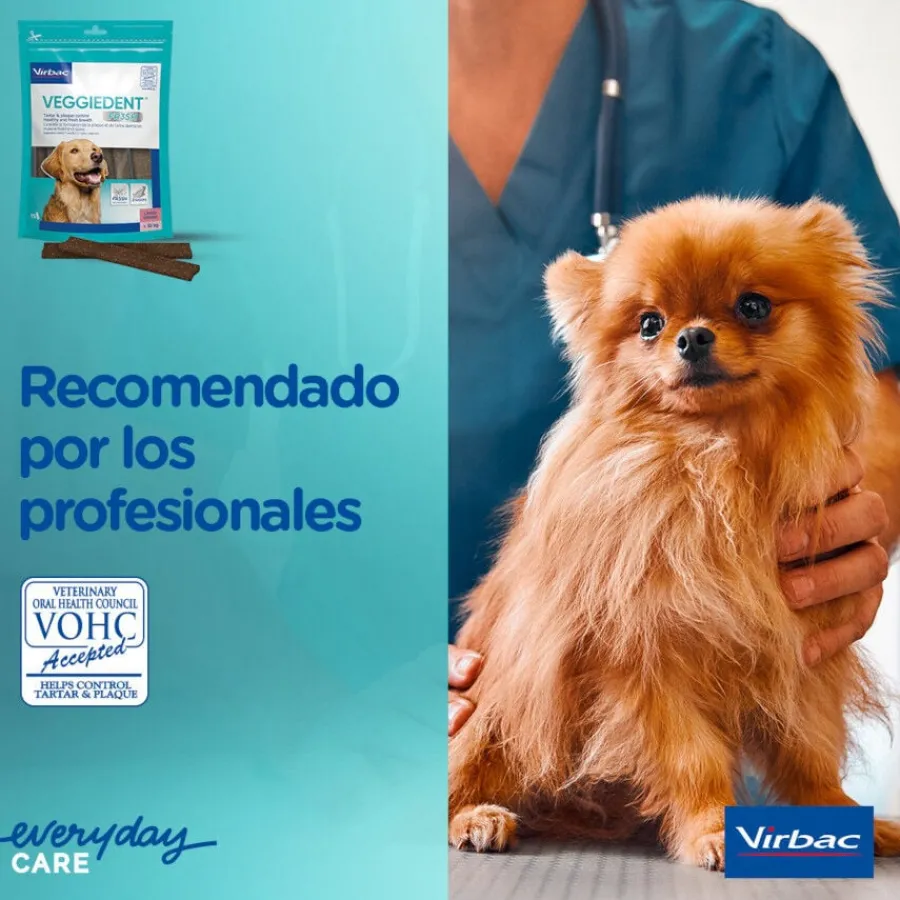 Virbac Snacks Dentales Veggiedent Fresh para perros de raza mediana Clearance