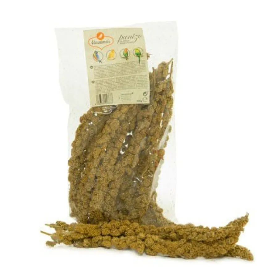Vivanimals Panizo en espiga para pájaros