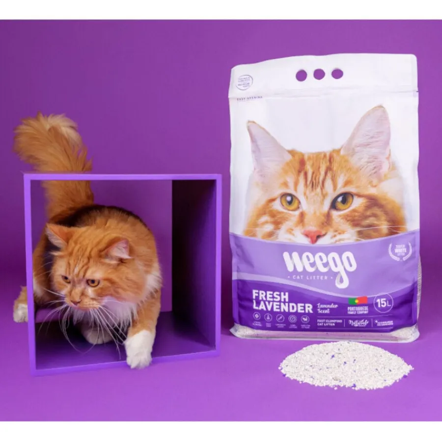 Weego Fresh Lavender Arena Aglomerante para gatos Online