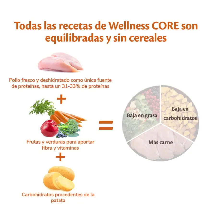 Wellness Core Adult Large Original Pollo pienso para perros Discount