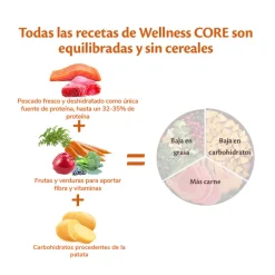 Wellness Core Adult Medium/Large Ocean Salmón y Atún pienso para perros Discount