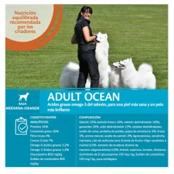 Wellness Core Adult Medium/Large Ocean Salmón y Atún pienso para perros Discount