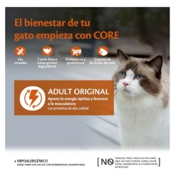 Wellness Core Adult Pollo y Pavo pienso para gatos Outlet