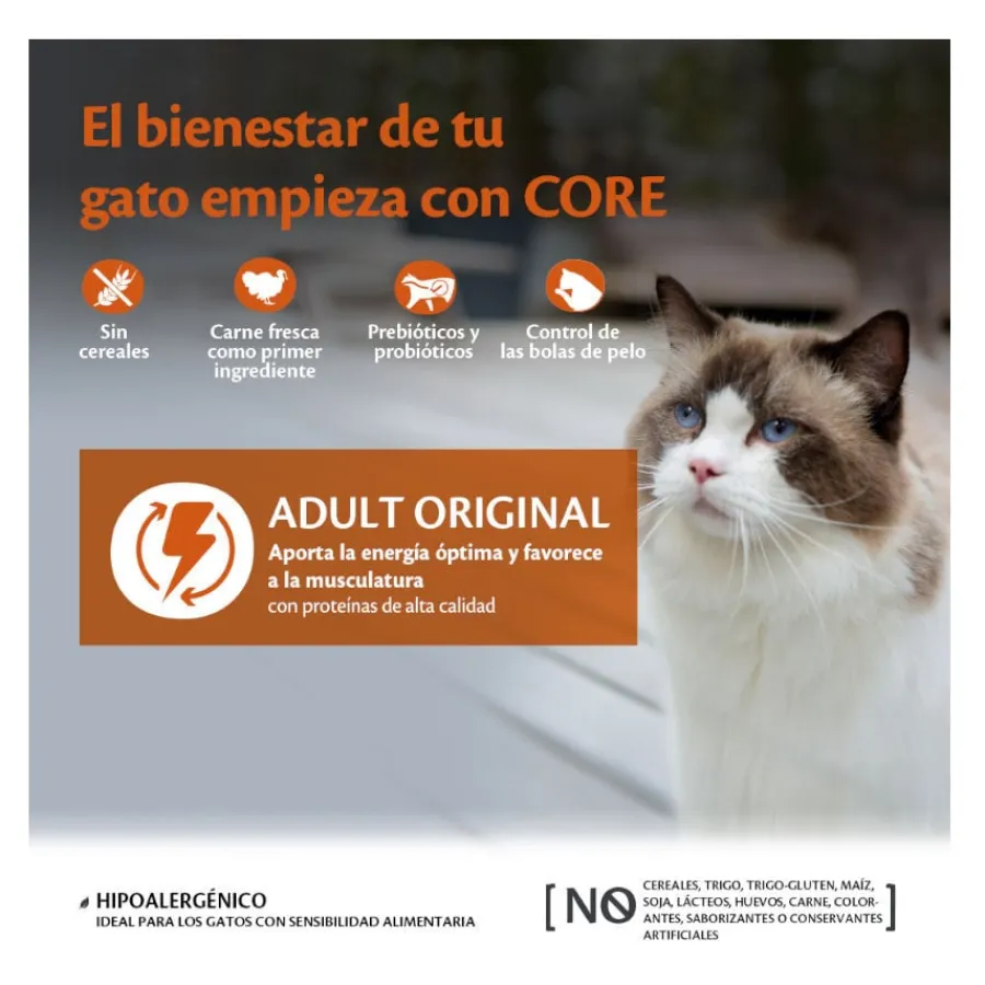 Wellness Core Adult Pollo y Pavo pienso para gatos Outlet