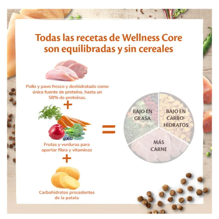 Wellness Core Adult Pollo y Pavo pienso para gatos Outlet