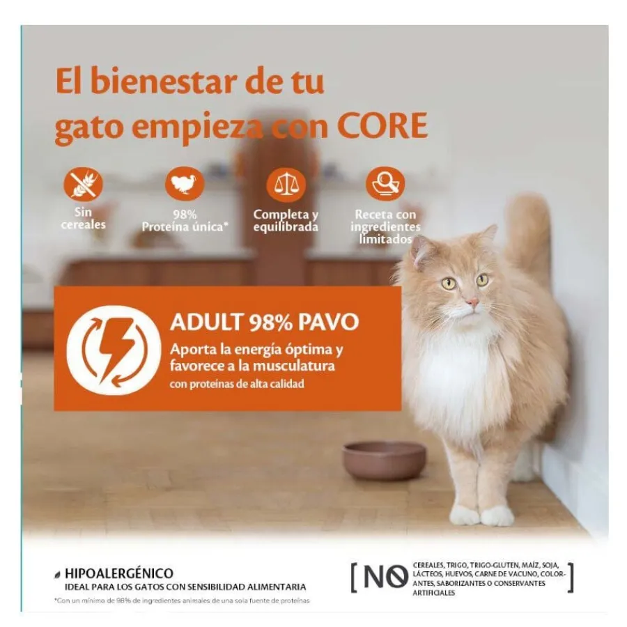 Wellness Core Adult Single Protein Ternera tarrina para gatos Best