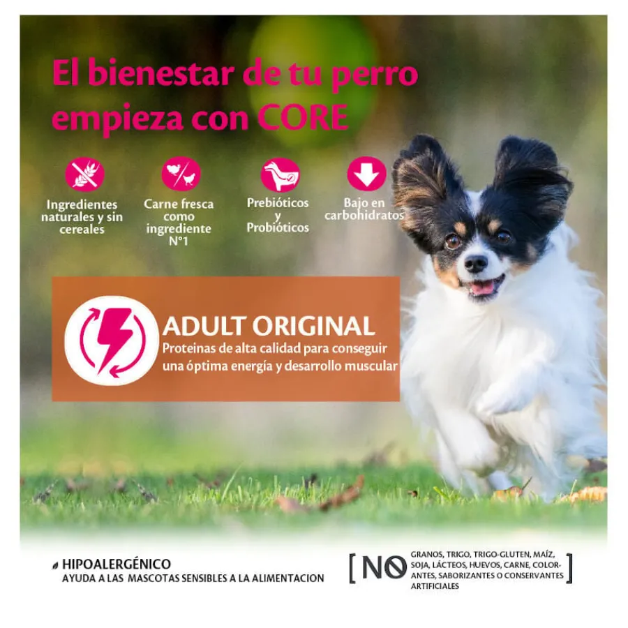 Wellness Core Adult Small Original Pavo y Pollo pienso para perros Best