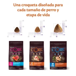 Wellness Core Adult Small Healthy Pavo pienso para perros Hot