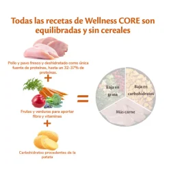 Wellness Core Adult Small Healthy Pavo pienso para perros Hot