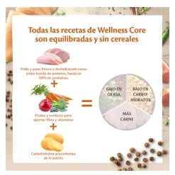 Wellness Core Adult Sterilised Pollo y Pavo pienso para gatos Online