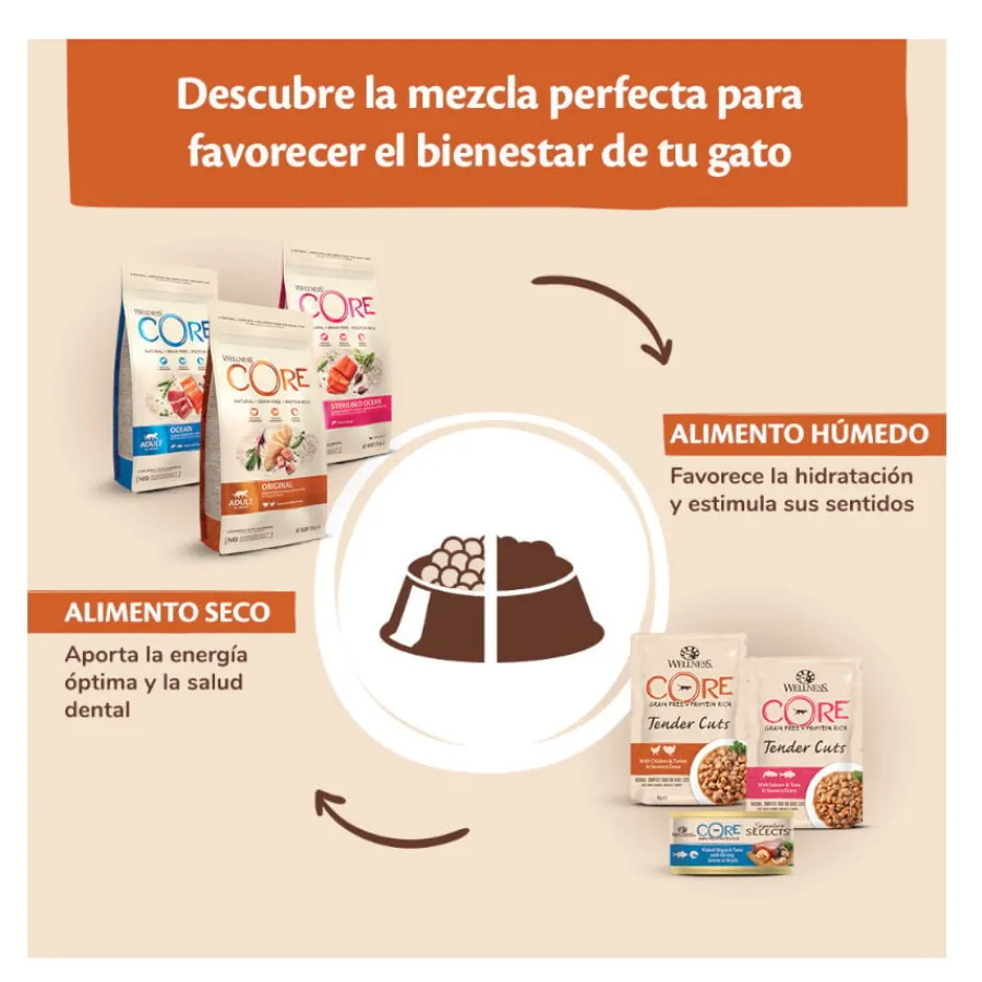 Wellness Core Adult Sterilised Pollo y Pavo pienso para gatos Online