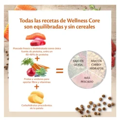 Wellness Core Adult Sterilised Ocean Salmón pienso para gatos