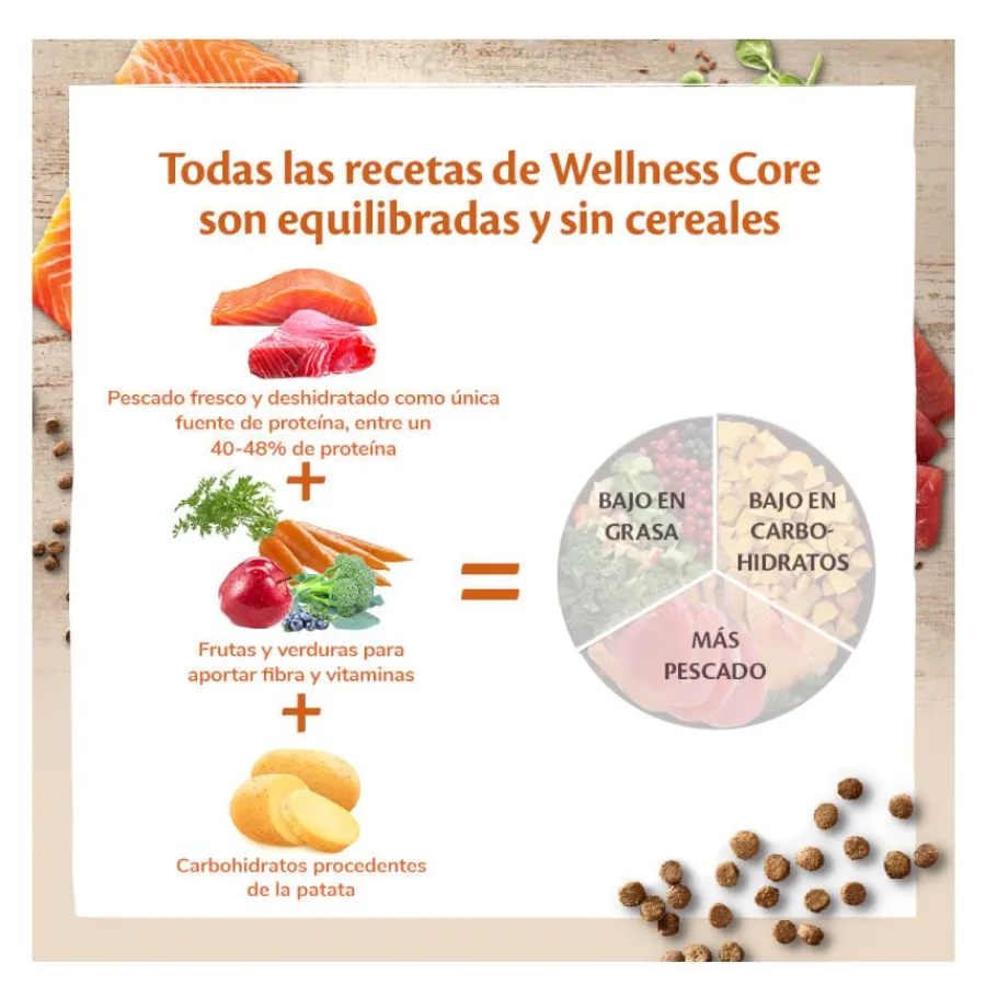 Wellness Core Adult Sterilised Ocean Salmón pienso para gatos
