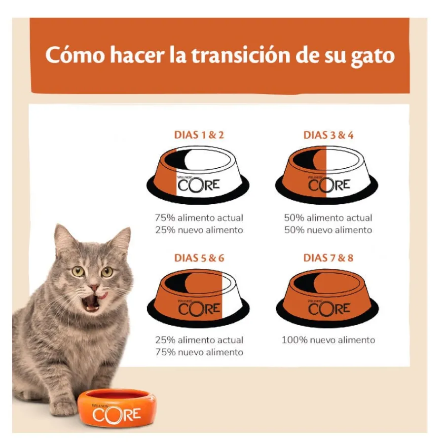 Wellness Core Adult Sterilised Ocean Salmón pienso para gatos