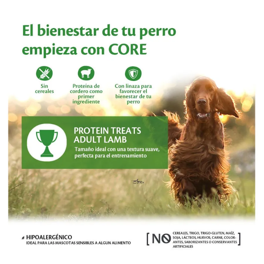 Wellness Core Bocaditos Protein Treats Cordero para perros Sale