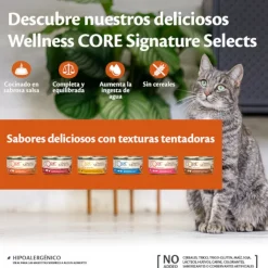 Wellness Core Chunky carne y pollo lata para gatos Online
