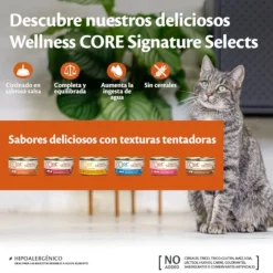 Wellness Core Chunky pollo y pavo lata para gatos Hot