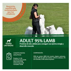 Wellness Core Cordero con Calabaza lata para perros Discount