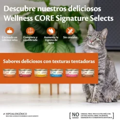 Wellness Core Flaked Salmón lata para gatos Best