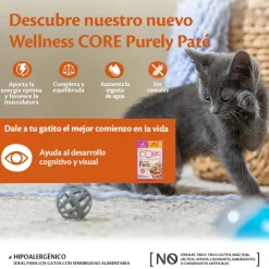 Wellness Core Kitten Pollo en Paté sobre para gatitos Discount